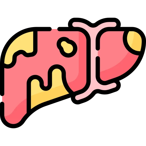 liver