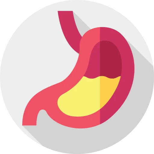 stomach